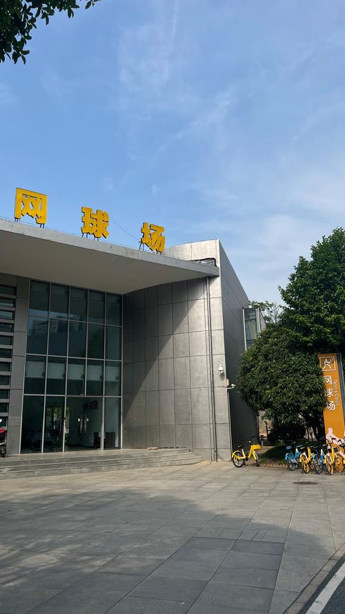 主教练的临